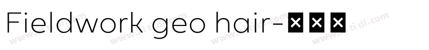 Fieldwork geo hair字体转换